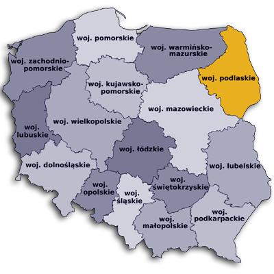 projekty stron okolice Białegostoku