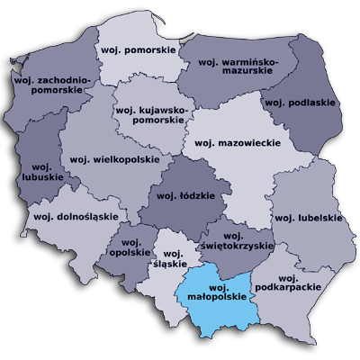 projekty stron okolice Krakowa