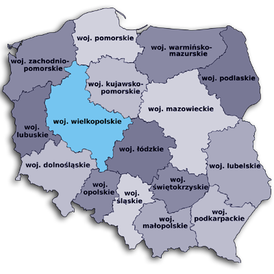 projekty stron okolice Poznania
